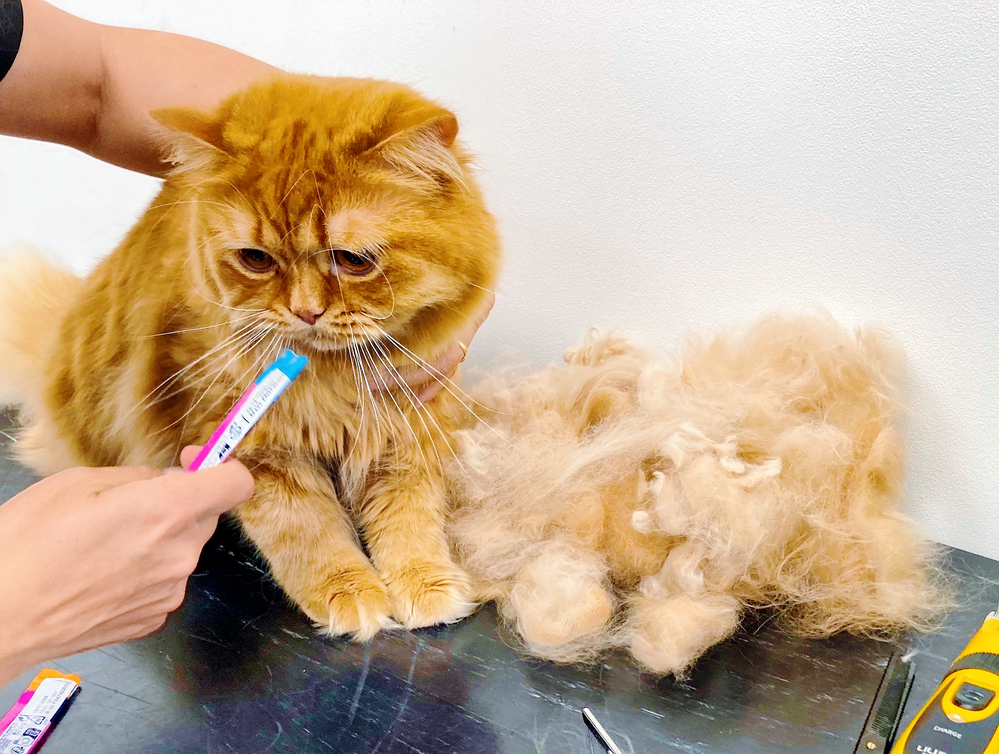 after grooming